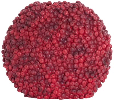 Light & Living Vaas Berries - Bordeaux - 44x19x37cm - Kunststof - Modern - Bloemenvaas - Woondecoratie - Decoratieve vaas voor woonkamer of slaapkamer