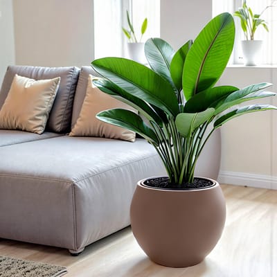 Bolvormige -taupe - bloempot rond van gerecycleerd materiaal - 38cm - mokka met zelfbewatering