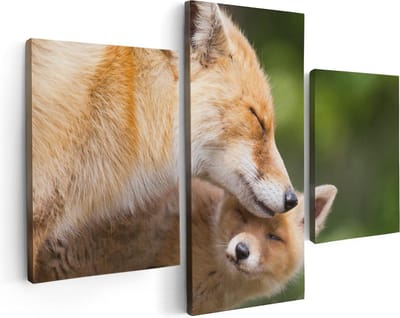 Artaza Canvas Schilderij Drieluik Moeder Vos met haar Welp  - 90x60 - Foto Op Canvas - Canvas Print