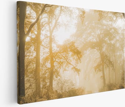 Saammp Muurcirkel Hout - Drinkende Leeuw - Natuur - Dieren - Ø 90 - Wandcirkel - Wanddecoratie Cirkel - Muurdecoratie Woonkamer - Slaapkamer decoratie - Rond Schilderij