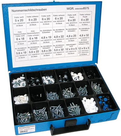 Dresselhaus Kentekenplaatschroeven Assortiment – 540-delig – Inclusief Kapjes & Ringen