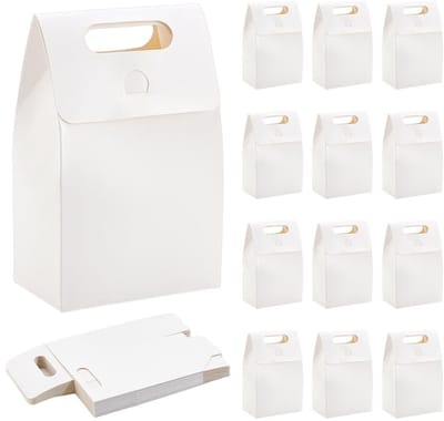 Dailygoods- Snoepdoosjes 24 Stuks - Geschenkdozen met Deksel - Kraftdozen - Voor Feestsnoep - Eenvoudig te Monteren - 9,5 x 15 x 5,8 cm