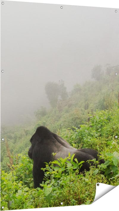 Gards Tuinposter Gorilla in het Woud tijdens de Mist - 100x150 cm - Tuindoek - Tuindecoratie - Wanddecoratie buiten - Tuinschilderij