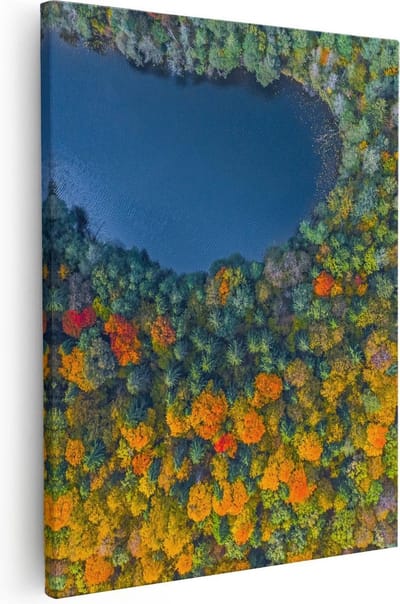 Artaza Canvas Schilderij Bos - 40x50 cm - Wanddecoratie Herfst - Muurdecoratie Landschap - Kamer Accessoires Natuur
