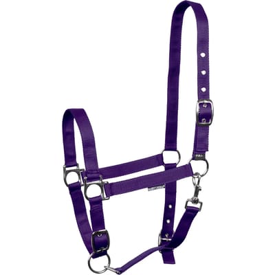 Verstelbare nylon halster voor paarden Harry's Horse