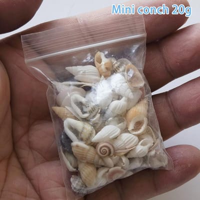 Aquariumbenodigdheden Mix Stijl Natte Schelp Wulk Aquarium Landschap Kleine Zee Schelp Strand Decoratie Feest DIY Knutsel