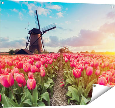 Gards Tuinposter Roze Tulpen Bloemenveld - met Windmolen - 100x80 cm - Tuindoek - Tuindecoratie - Wanddecoratie buiten - Tuinschilderij