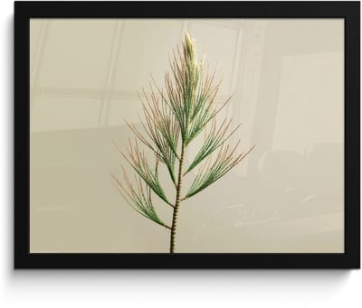 Poster in lijst - Fotolijst 40x30 cm - Posters - Dennentak - Naaldvormige bladeren - Lichtgroen - Posterlijst zwart - Decoratie - Wanddecoratie woonkamer - Muurdecoratie slaapkamer