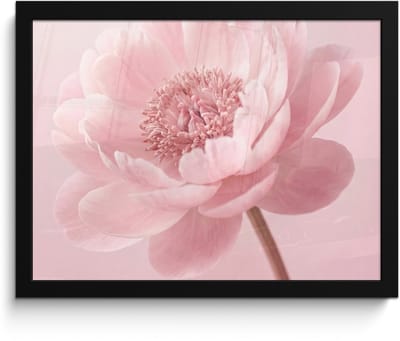 Poster in lijst - Fotolijst 40x30 cm - Posters - Bloem - Pioenroos - Roze - Posterlijst zwart - Decoratie - Wanddecoratie woonkamer - Muurdecoratie slaapkamer