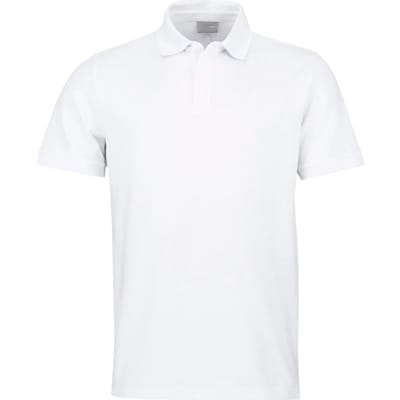 Polo Head Classic
