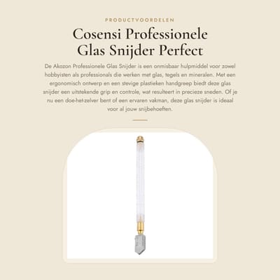 Dailygoods- Glas Snijder Professioneel - Glas Snijder met Olievoeding - Snijgereedschap - Kunststof Handvat - Precisie Snijden - Duurzaam Ontwerp