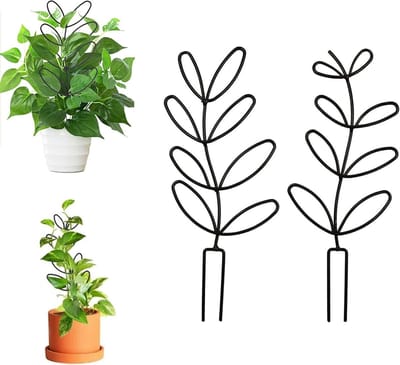 Hulp voor binnenplanten: plantondersteuning, klimsteun, trellis voor potplanten, 2 stuks, ideaal voor bloemen en klimplanten