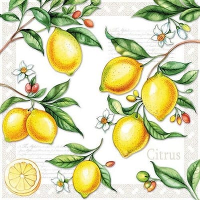 Lunch Servetten Citrus - Ambiente - 33x33 cm
