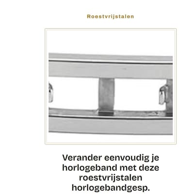 Dailygoods- Horlogebandgesp Roestvrij Staal - Vervangingsgereedschap - Gespvervanging - Opvouwbare Sluiting - Dubbele Trekvlinder - Duurzaam en Sterk - Horlogesluiting