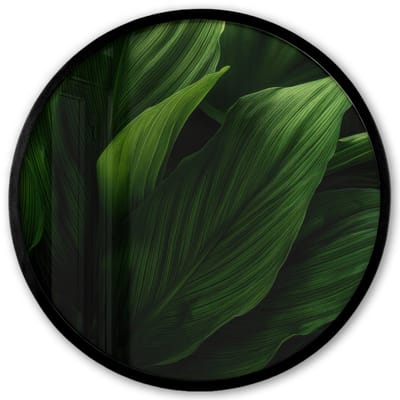 Poster in lijst Rond - Fotolijst 40x40 cm - Posters - Bladeren - Schaduw - Groen - Textuur - Ronde posterlijst zwart - Decoratie - Wanddecoratie woonkamer - Muurdecoratie slaapkamer