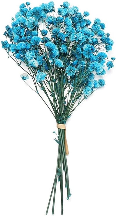 Gedroogde Bloemen - Natuurlijke Planten - Bruiloft Decoratie - Zijde & Plastic - 12-15 CM - Nautical Blauw