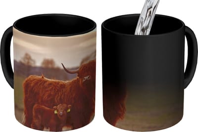 Magische Mok - Foto op Warmte Mokken - Koffiemok - Schotse hooglander - Dieren - Landschap - Zonsondergang - Koe - Magic Mok - Beker - 350 ML - Theemok