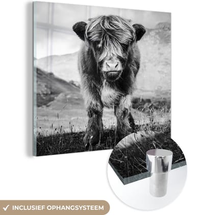 MuchoWow® Glasschilderij 50x50 cm - Schilderij acrylglas - Schotse Hooglander - Berg - Zwart - Wit - Foto op glas - Schilderijen
