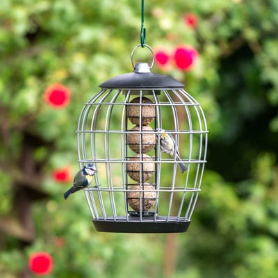 CJ Wildlife Vetbolhouder voor Vogels - Aura - Mezenbolhouder met Beschermkooi - Veilig eten voor Kleine Tuinvogels - Voor 4 vetbollen