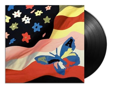 Wildflower - The Avalanches