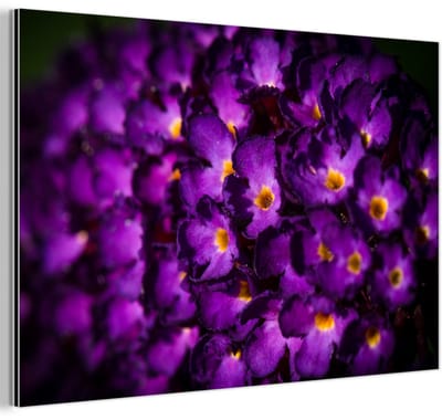 Aluminium schilderij 180x120 cm - Wanddecoratie metaal - Verlichte vlinderstruik bloemen - Metalen muurdecoratie woonkamer - Decoratie industrieel - Foto op dibond - Industriële accessoires slaapkamer