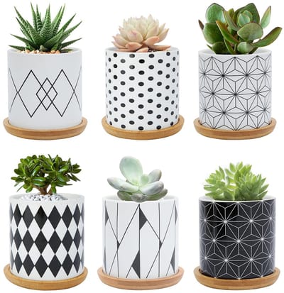 Dailygoods- Bloempotten Set van 6 - Keramische Bloempotten 7,5 cm - Geometrisch Patroon - Bamboe Onderzetter - Voor Cactussen/Kamerplanten - Binnen/Buiten - Plantpotten