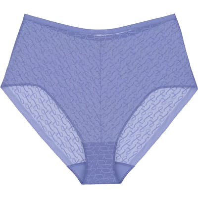 Triumph Maxislip Red Label Signature Sheer