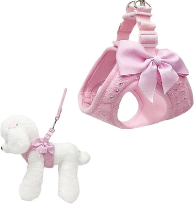 Hondenharnas en Leash Set, Zacht Mesh Ademend Harnas voor Kleine Honden en Katten, Lichtgewicht en Comfortabel voor Wandelen en Training