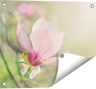 Gards Tuinposter Roze Magnolia Bloem - 50x40 cm - Tuindoek - Tuindecoratie - Wanddecoratie buiten - Tuinschilderij