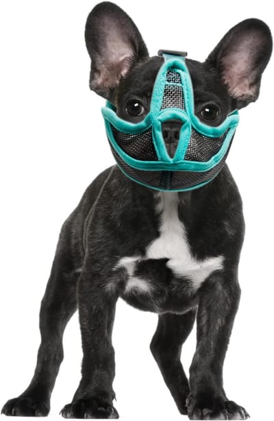 Ademend Hondenmuilkorf van Gaas - Verstelbare Anti-bijt Muilkorf voor Franse Bulldog, Pug en Chihuahua - Dierbenodigdheden voor Veiligheid en Comfort