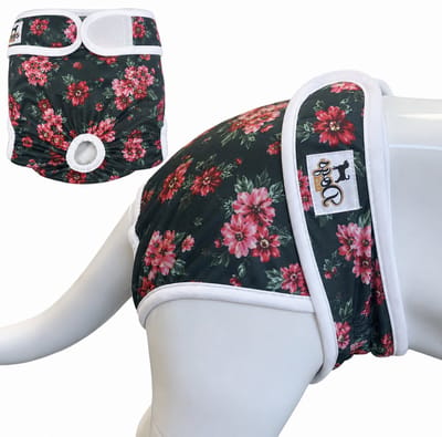 Dogs&Co® Loopsheidbroekje Botanic - Maat XS - Katoen & Mesh Stretchy met Klittenband - Hondenluier - Loopsheidbroekje hond - Honden - Incontinentiebroekjes