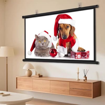 Projectiescherm Met Handmatige Bediening, Oprolscherm, Kreukvrij HD-projectiescherm, Afneembare Haak, Thuisbioscoopfilms, Aan Muur/plafond 40/50/60 Inch(Black,60inch4:3)