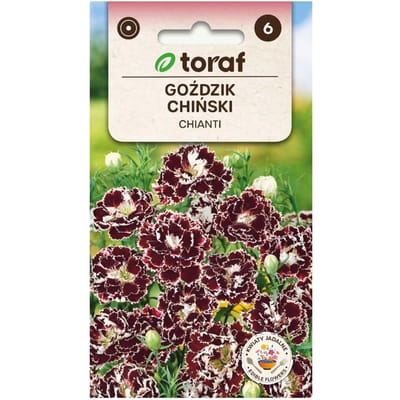 Chinese kruidnagelzaden Chianti, eenjarige, geurige kersenzwarte bloemen met witte rand, voor borders, plantenbakken en snijbloemen.