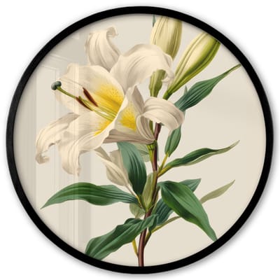 Poster in lijst Rond - Fotolijst 40x40 cm - Posters - Lelie - Elegant - Botanisch - Beige - Ronde posterlijst zwart - Decoratie - Wanddecoratie woonkamer - Muurdecoratie slaapkamer