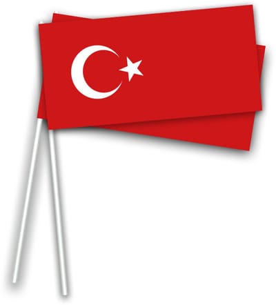 Turkije zwaaivlaggetjes - 100x st - 21 x 12 cm - hand vlaggetjes - Turkse vlag - Landen vlaggen - versieringen