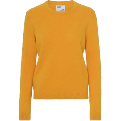 Damestrui met Ronde Hals in Wol Colorful Standard Classic Merino Burned Yellow
