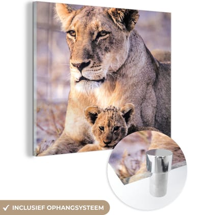 MuchoWow® Glasschilderij 50x50 cm - Schilderij acrylglas - Leeuwin - Leeuw - Welp - Foto op glas - Schilderijen