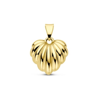 14K geelgouden hanger hart 22 mm - 4034738