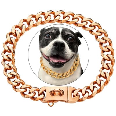 Sterke Heavy Duty 19MM Brede Lichtmetalen Sterke Metalen Cubaanse Schakel Hondenhalsband, Gouden Hondenketting Halsband voor Kleine Middelgrote Honden 12inch(30cm)