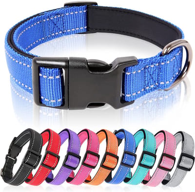 Dailygoods- Hondenhalsband Reflecterend - Gevoerd - Ademend - Zacht Neopreen - Verstelbaar voor Kleine/Middelgrote/Grote Honden - Koningsblauw - Halsband