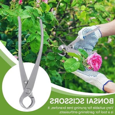 Concave Takkenknipper voor Bonsai, Professionele Snoeischaar, Bonsai Gereedschap en Tuinaccessoires voor Precisie Snoeiwerk