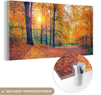MuchoWow® Glasschilderij 40x20 cm - Schilderij acrylglas - Bomen - Herfst - Bos - Herfstbladeren - Foto op glas - Schilderijen