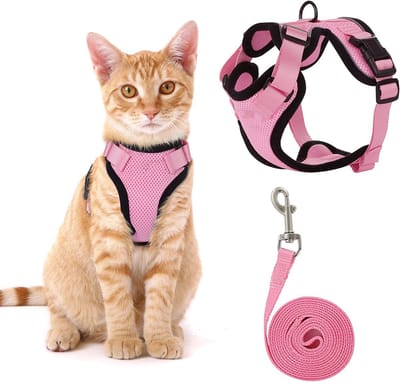 Kattentuigje Met Leiband Riem - Kattenriem - Cat Leash - Kitten Tuigje - Kattenlijn - Verstelbaar - Geschikt voor volwassen katten en kittens - Roze (maat S)