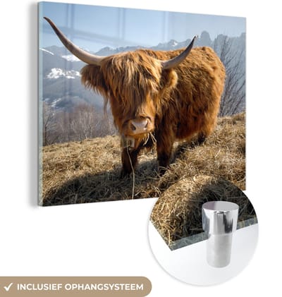 MuchoWow® Glasschilderij 160x120 cm - Schilderij acrylglas - Schotse Hooglander - Berg - Sneeuw - Foto op glas - Schilderijen