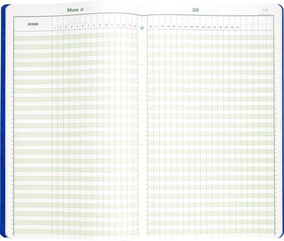 Exacompta Speciaal register Tijdsregistratie 40x24cm - 46 lijnen - 80 blad - Geassorteerd - 9340E