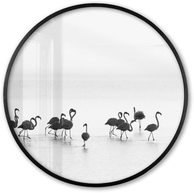 Poster in lijst Rond - Fotolijst 60x60 cm - Posters - Flamingo's - Water - Natuur - Zwart wit - Ronde posterlijst zwart - Decoratie - Wanddecoratie woonkamer - Muurdecoratie slaapkamer