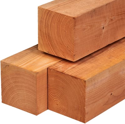 Complete douglas paal + betonpoer set | Douglas paal 20x20cm, 250cm + betonpoer 20x20x50cm antraciet + stelset + schroeven - Set - Overkapping - Tuinkamer - Veranda