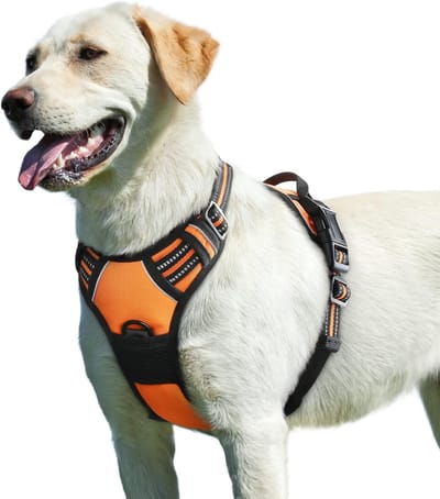 Hondentuig No Pull, Hondenharnas voor Grote Honden, Verstelbare Harnas Hond met Reflecterend Strepen, Gewatteerd Zacht Ademend, Hondentuigje Anti-trek voor Wandelen Training, Oranje L