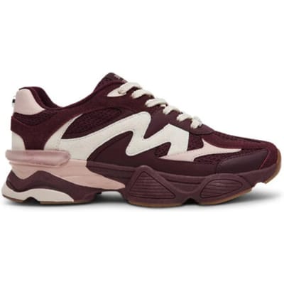 Steve Madden Speeder Sneakers - Dames - Bordeaux - Maat 41