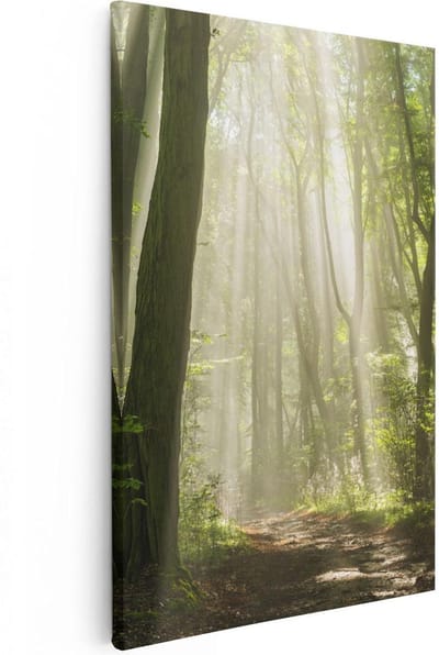 Artaza Canvas Schilderij Zonnestralen Bos - 20x30 cm - Klein - Wanddecoratie Landschap - Muurdecoratie Woonkamer - Schilderijen Op Canvas